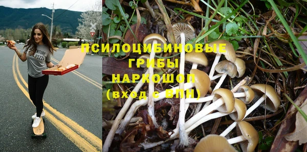 дмт Сафоново