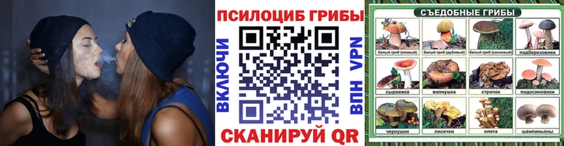 сколько стоит  Дальнереченск  Псилоцибиновые грибы Magic Shrooms 